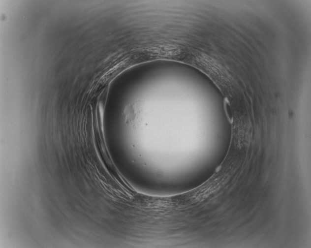 X0000086761058200704131110