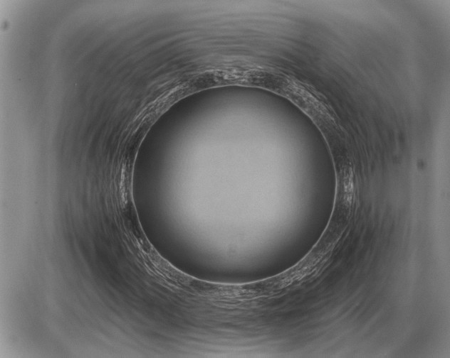 X0000086761060200704131110