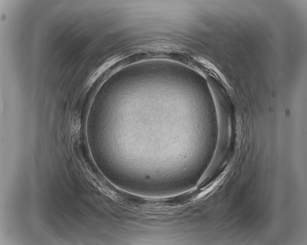 X0000086761065200704131110