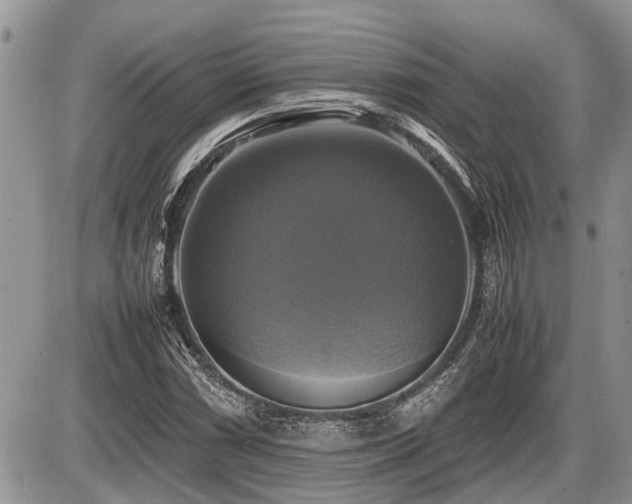 X0000086761066200704131110