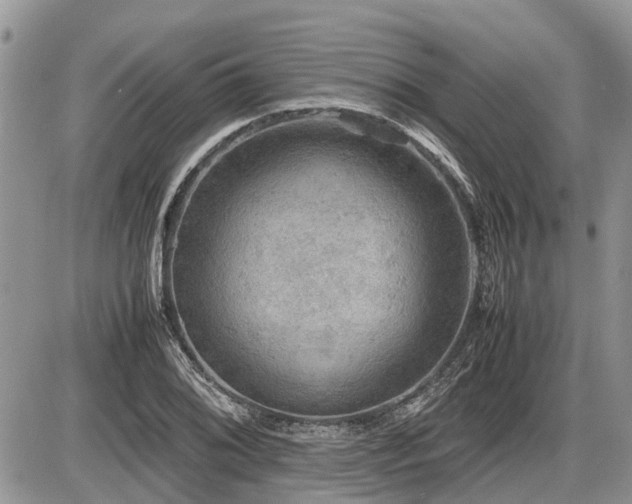 X0000086761076200704131110
