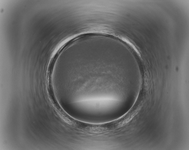 X0000086761077200704131110