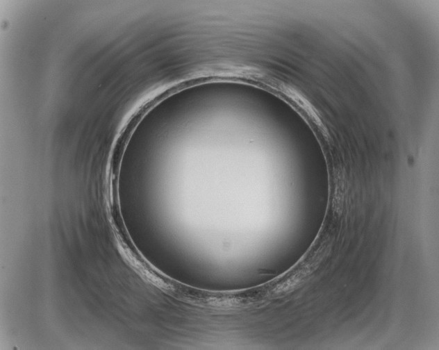 X0000086761080200704131110