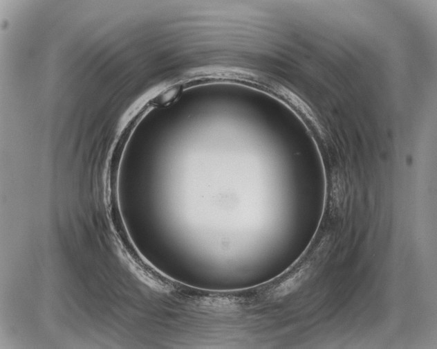 X0000086761082200704131110