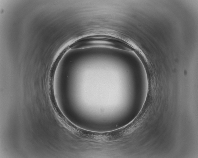 X0000086761085200704131109