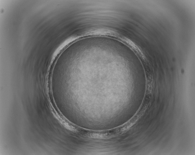 X0000086761086200704131109
