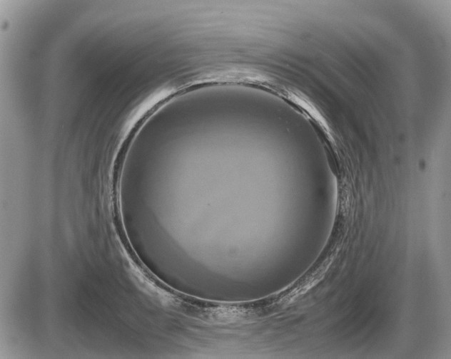 X0000086761087200704131109