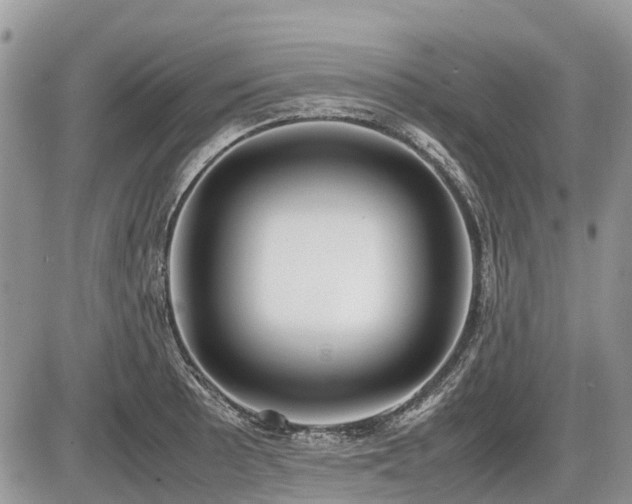X0000086761089200704131109