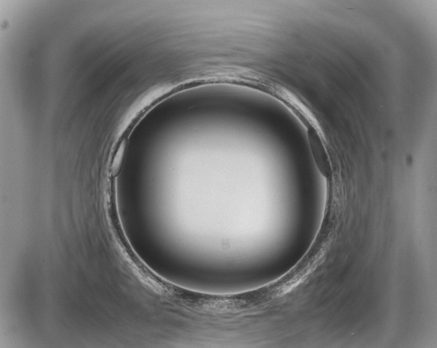 X0000086761093200704131109