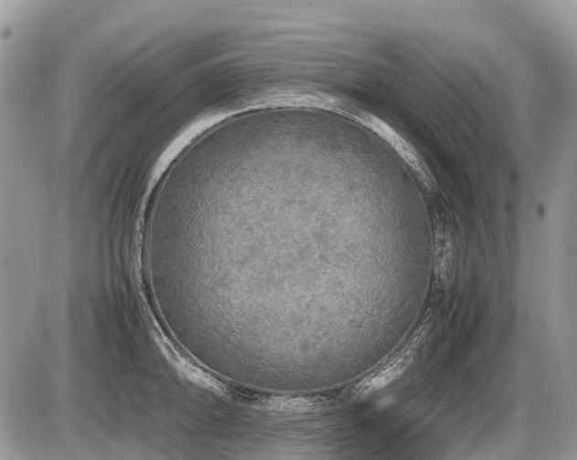 X0000086761094200704131109