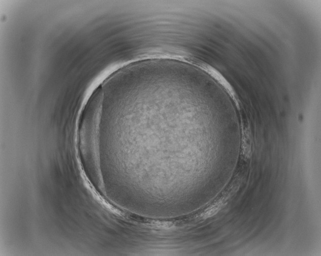 X0000086761096200704131109