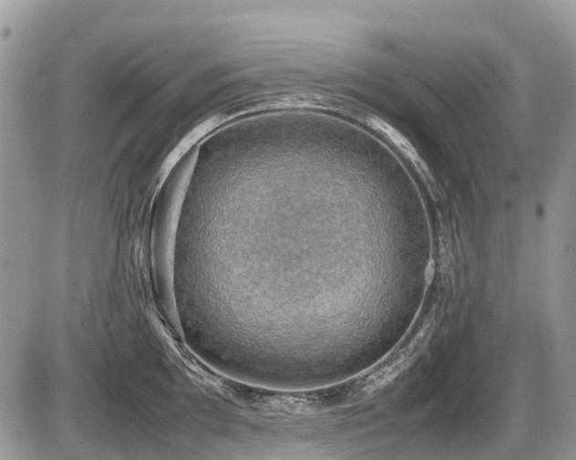 X0000086761097200704131109