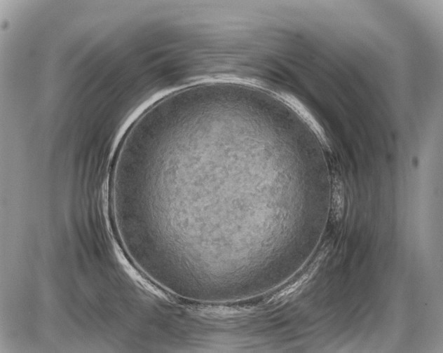 X0000086761100200704131109
