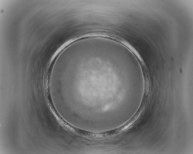 X0000086761101200704131109