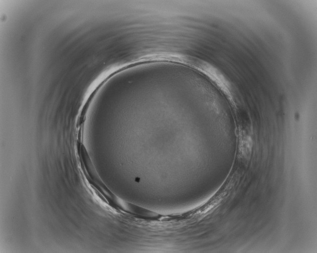 X0000086761102200704131109
