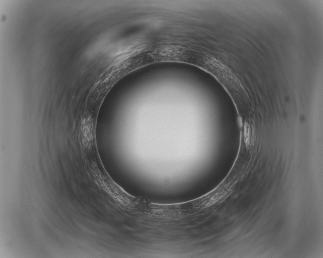 X0000086761107200704131108