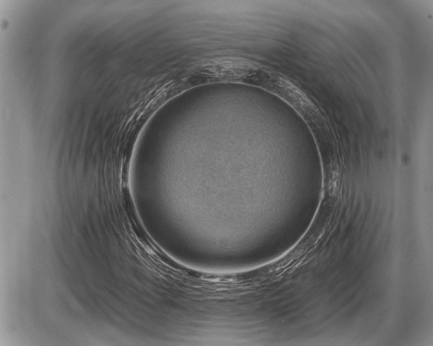 X0000086761108200704131108