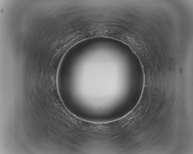X0000086761109200704131108