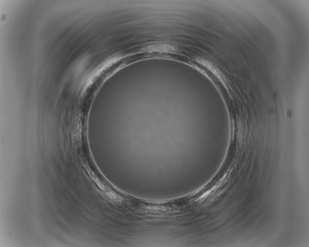 X0000086761115200704131109