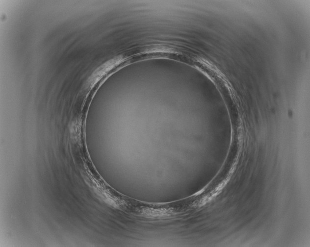 X0000086761121200704131109