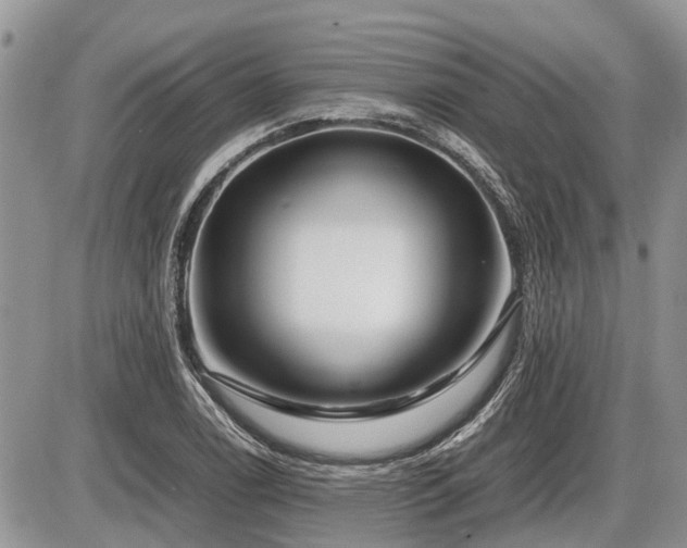 X0000086761122200704131109