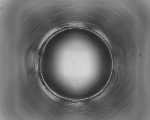 X0000086761131200704131109