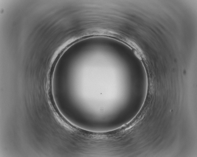 X0000086761136200704131109