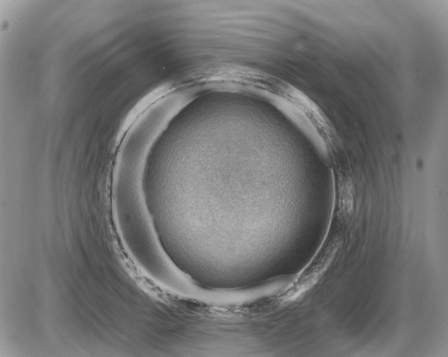 X0000086761138200704131109