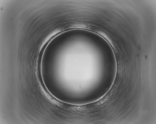 X0000086761139200704131109
