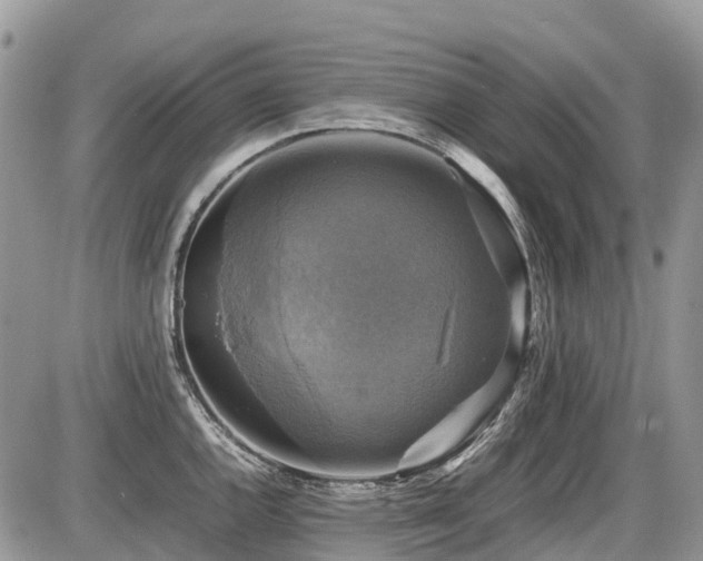 X0000086761144200704131109
