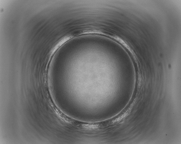 X0000086761145200704131109