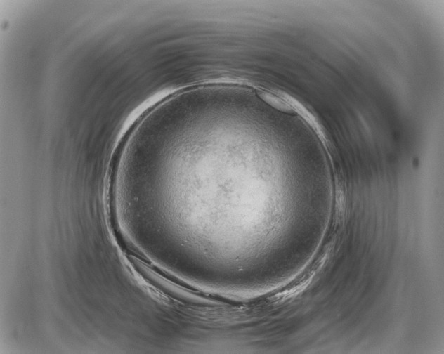 X0000086761149200704131109