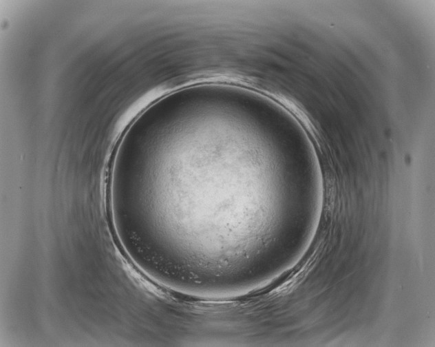 X0000086761151200704131109