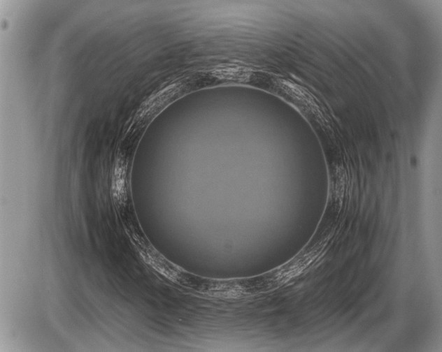 X0000086761154200704131108