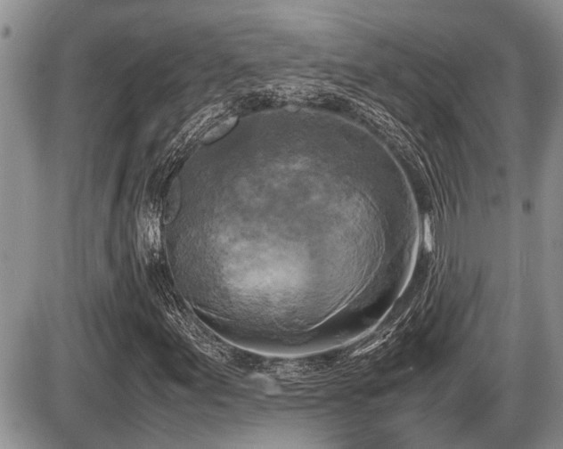 X0000086761155200704131108
