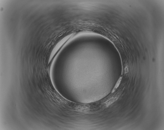 X0000086761156200704131108