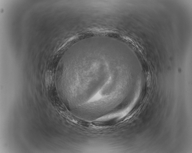 X0000086761157200704131108