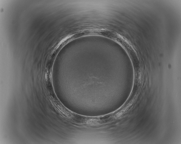 X0000086761161200704131108