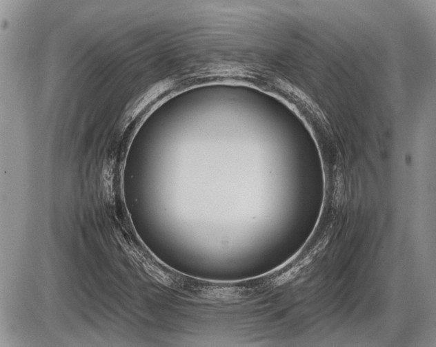 X0000086761162200704131108