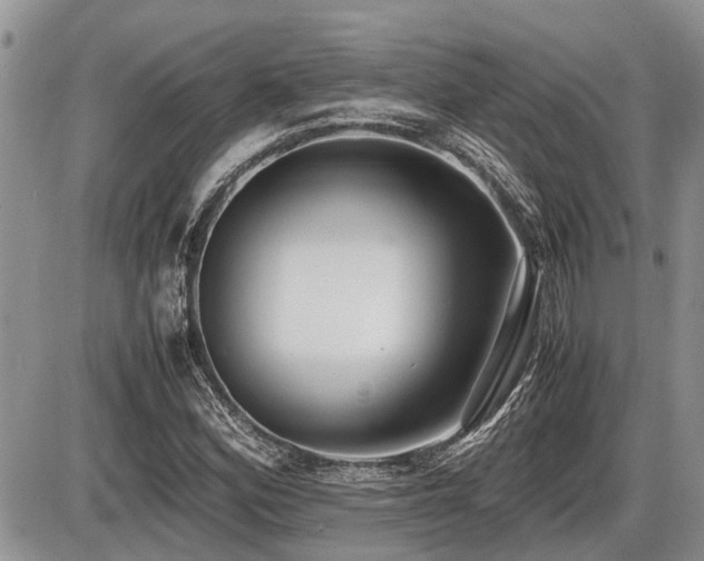X0000086761164200704131108