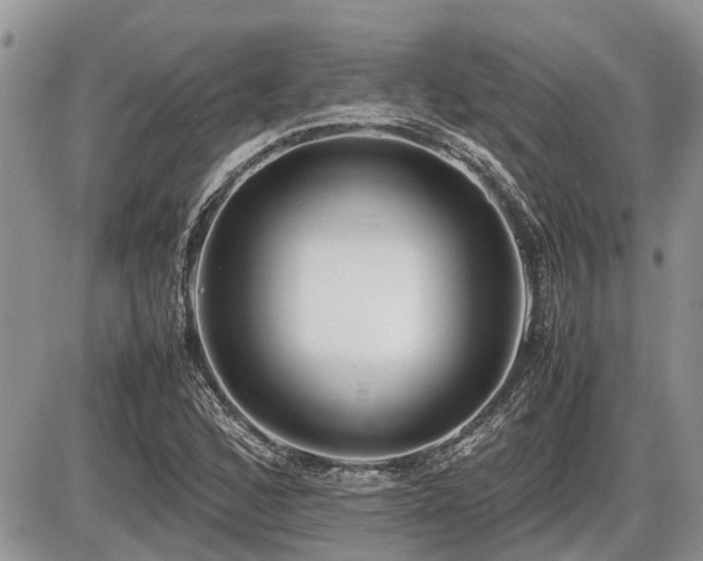 X0000086761168200704131108