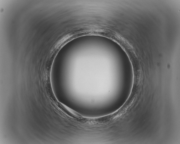 X0000086761169200704131108