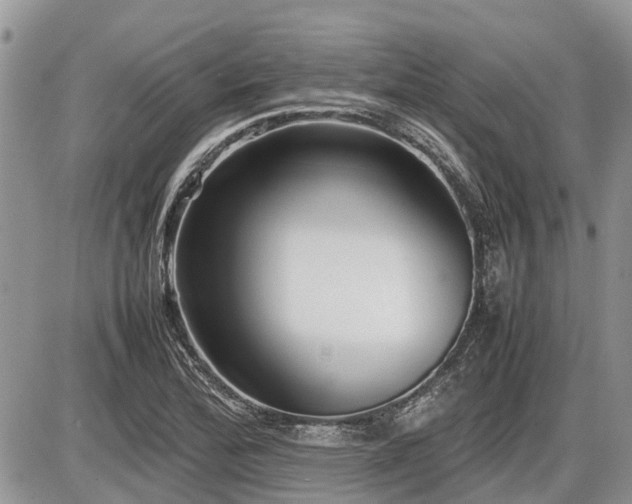 X0000086761172200704131108