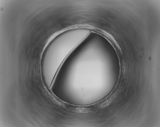 X0000086761176200704131108