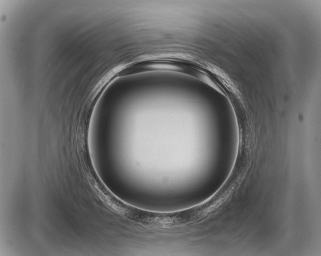 X0000086761177200704131108