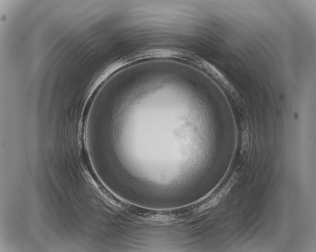 X0000086761178200704131108