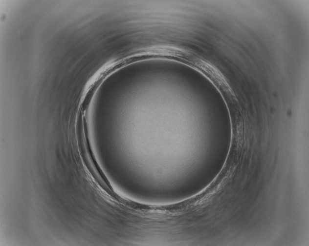 X0000086761180200704131108