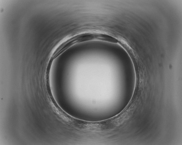 X0000086761181200704131108