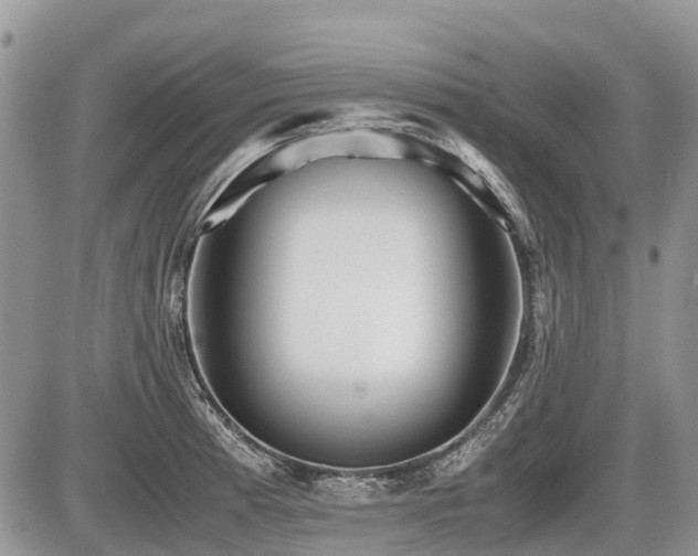 X0000086761185200704131108