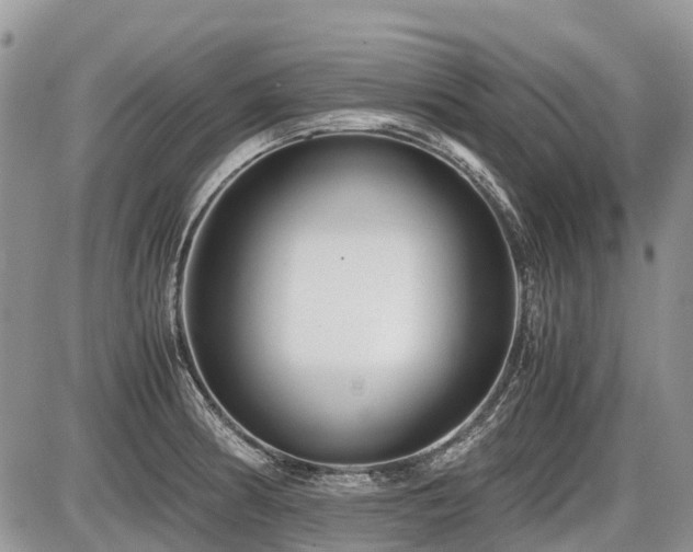 X0000086761186200704131108
